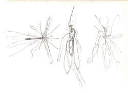 Набросок Виктории...