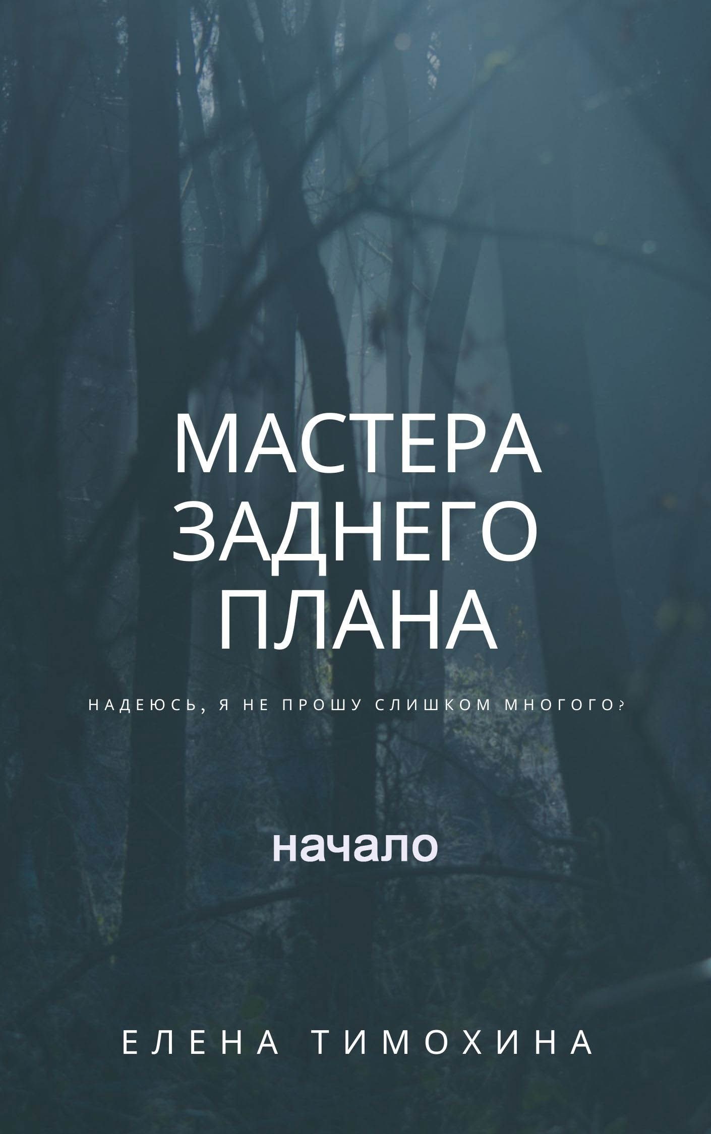 Обложка книги «Мастера заднего плана, начало»
