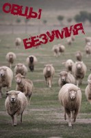 Обложка произведения Овцы безумия