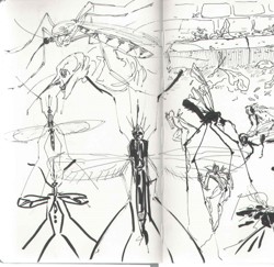 Набросок Виктории...