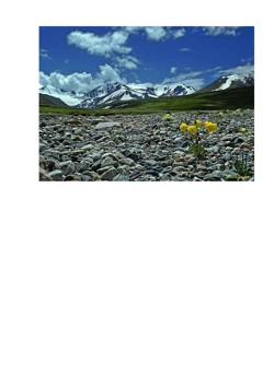 Укок Аргамджи