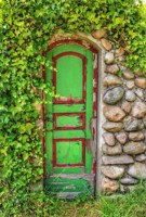 Обложка произведения Маленькая зеленая дверь.