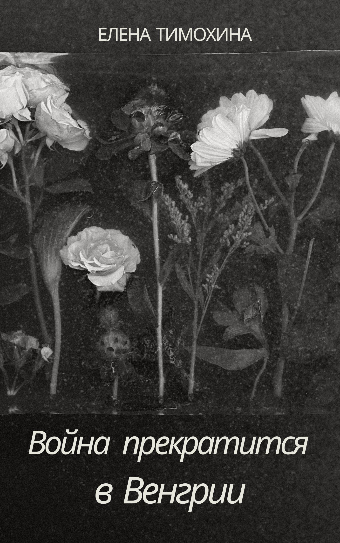 Обложка книги «Война прекратится в Венгрии»