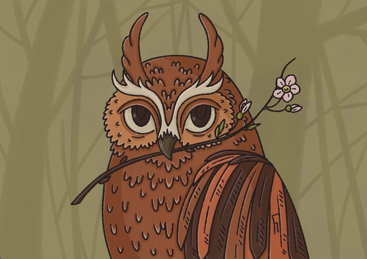 Иллюстрация