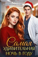 Обложка произведения Самая удивительная ночь в году