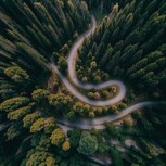 Обложка произведения Ночная гостья