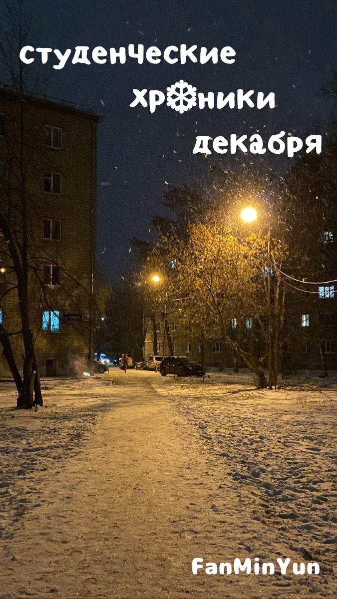 Обложка книги «Студенческие хроники декабря»