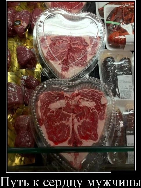 Обложка книги «Ген Казака»