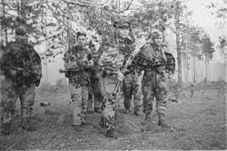 Амёба на разведчиках