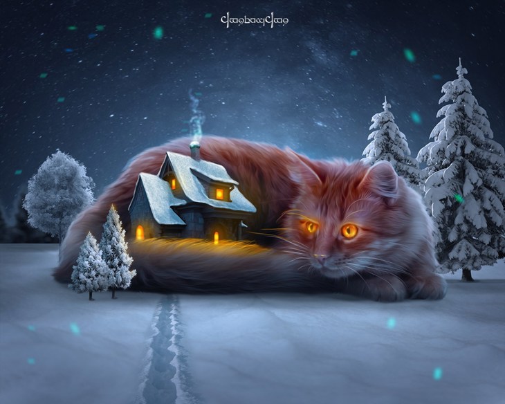 Иллюстрация