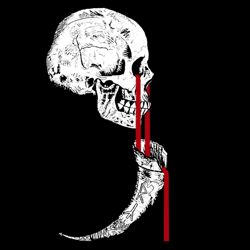 Исходный вид обложки