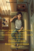Обложка произведения Один день из жизни Макара Пешкова, курьера магической службы доставки «Сова-экспресс»