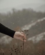 Обложка произведения Зимние сны