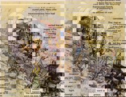 Фургон переселенцев,...