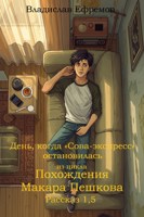 Обложка произведения День, когда «Сова-экспресс» остановилась