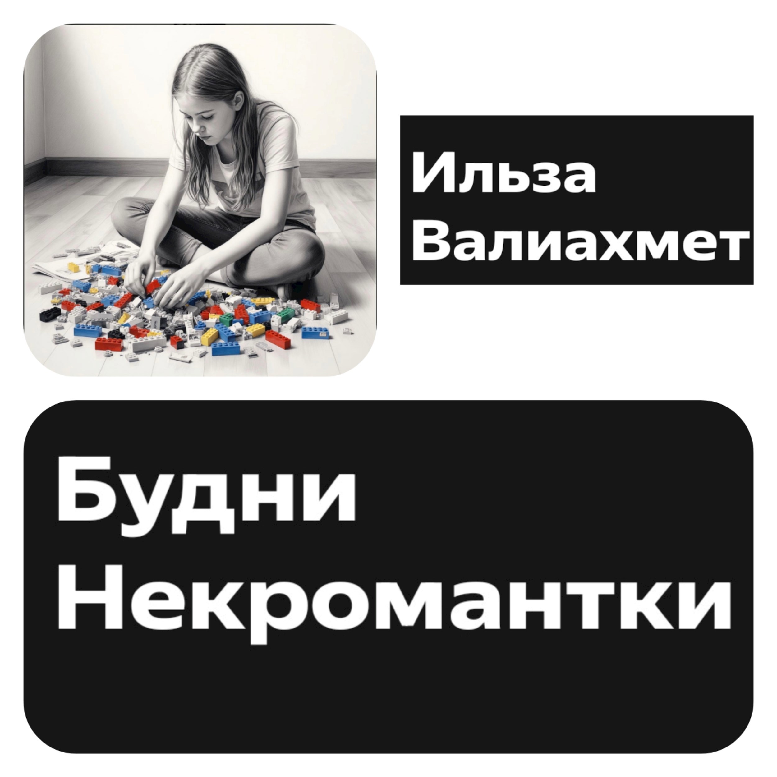 Обложка книги «Будни Некромантки»