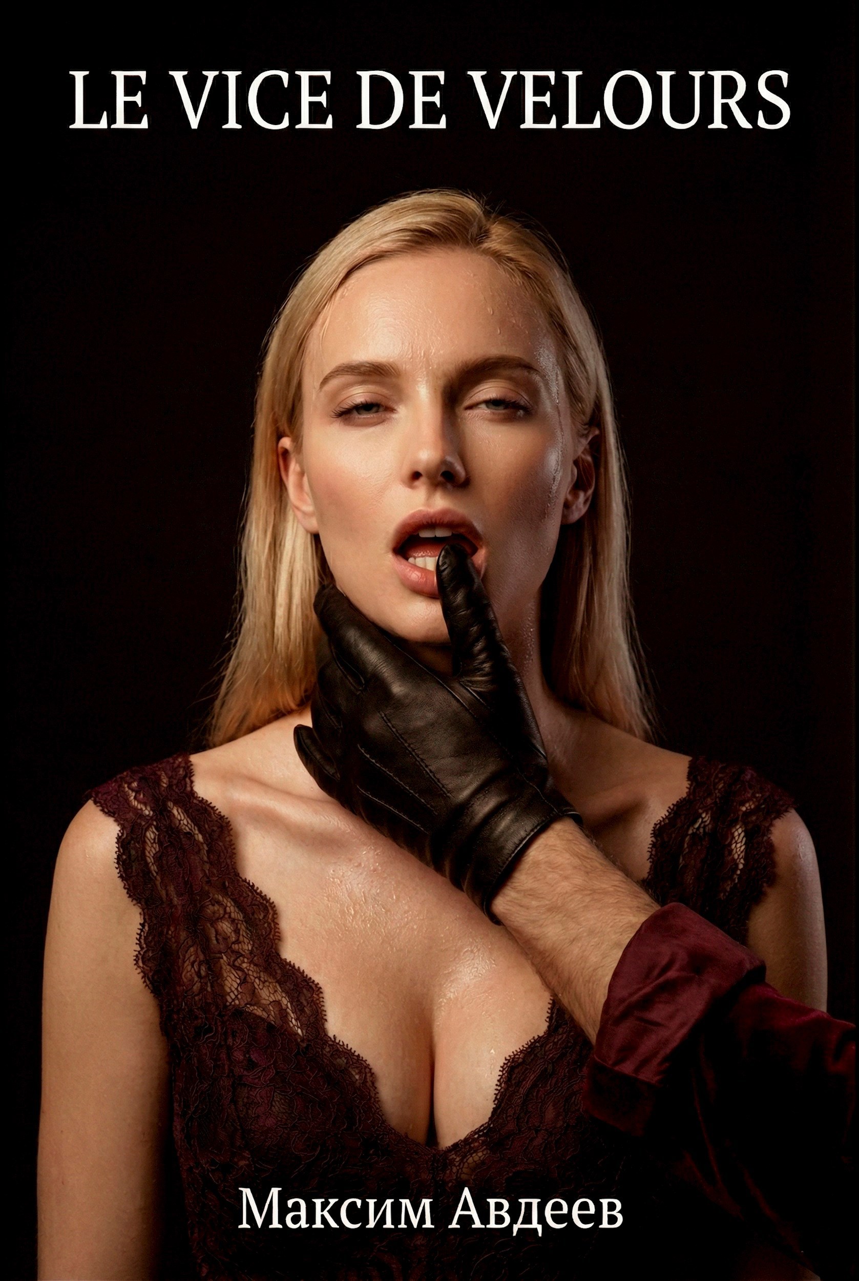 Обложка книги «Le Vice de Velours»