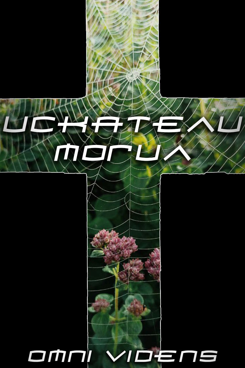 Обложка книги «Искатели могил»