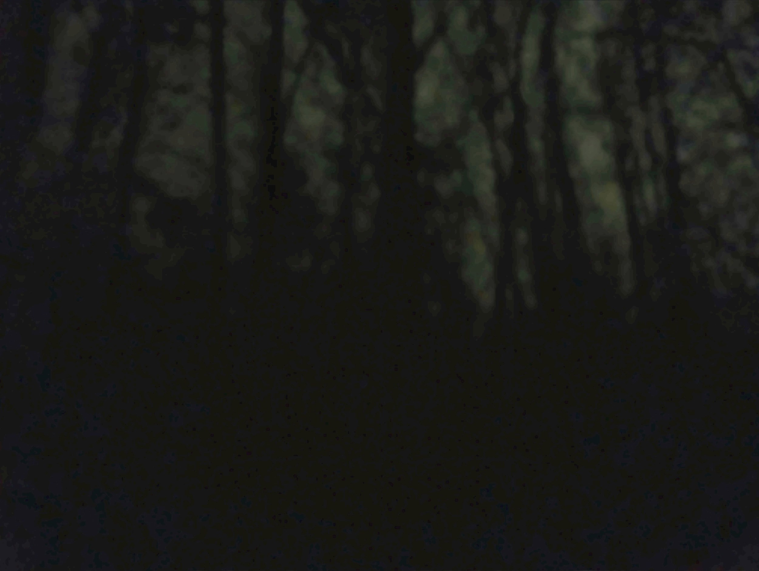 Обложка книги «Безупречная формула»