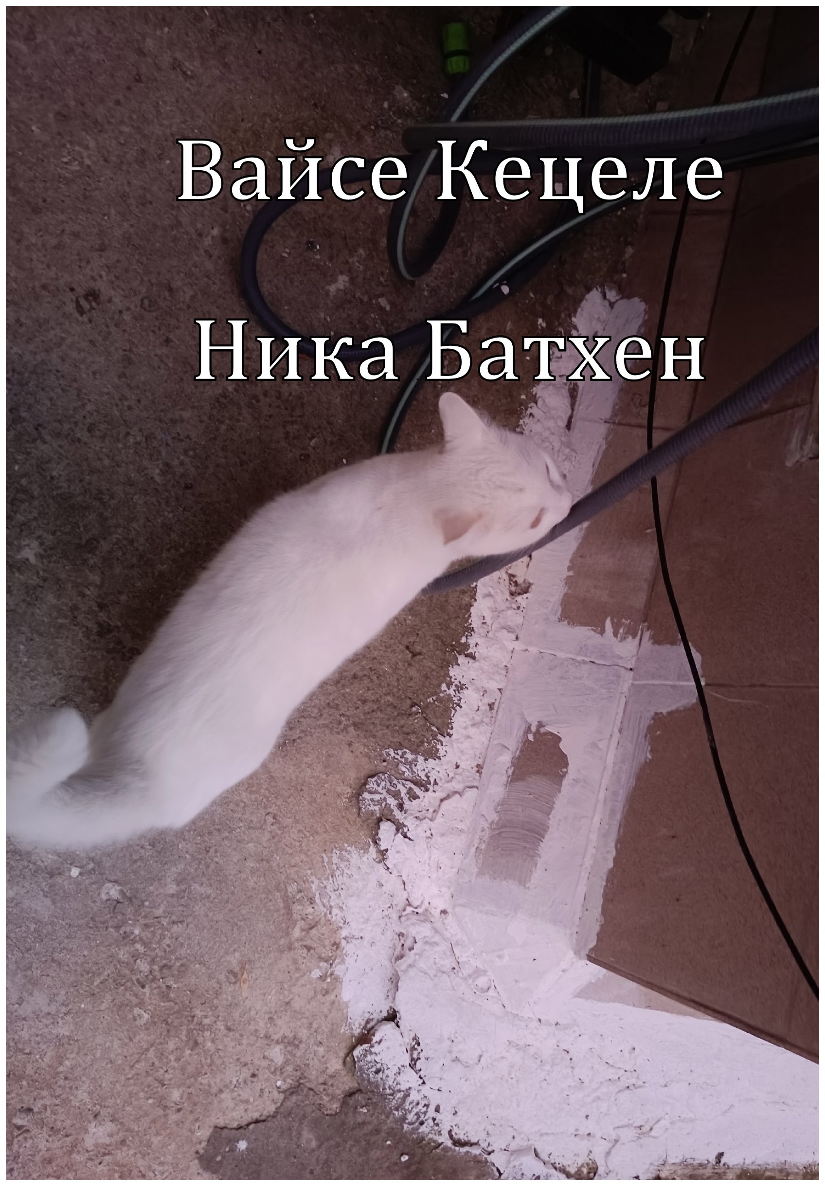 Обложка книги «Вайсе Кецеле»