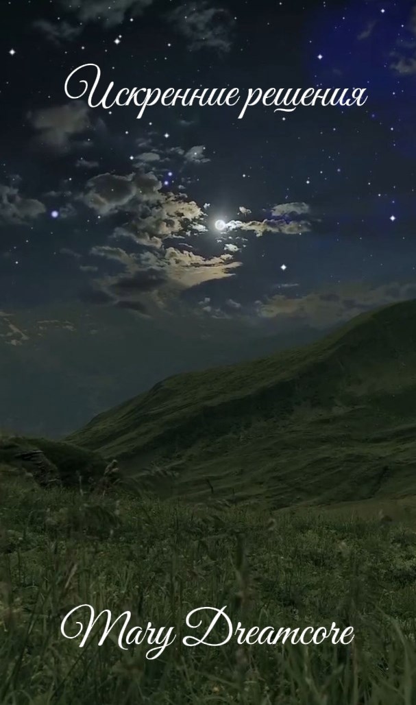 Обложка книги «Искренние решения»