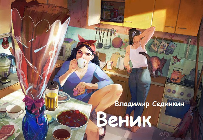 Обложка книги «Веник»