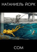 Обложка произведения Сом