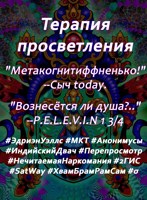 Обложка произведения Метакогнитивная история