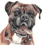 Обложка произведения ...детские страхи...