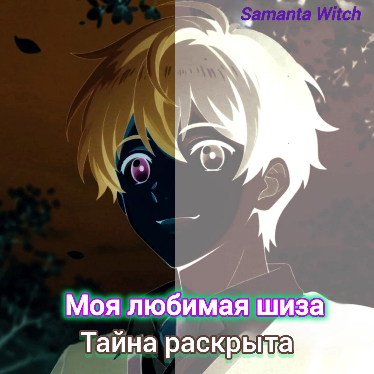 Обложка книги «Моя любимая шиза. Тайна раскрыта»