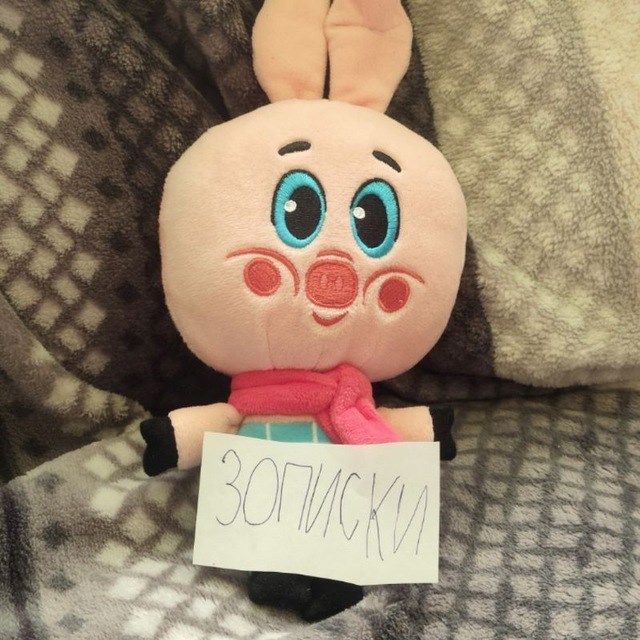 Обложка книги «Записки Свинорыла»