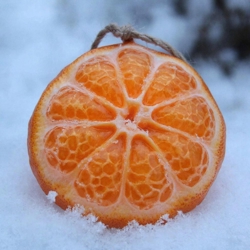 К главе 4-ой