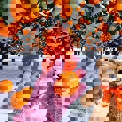 Мармеладный мишка с...