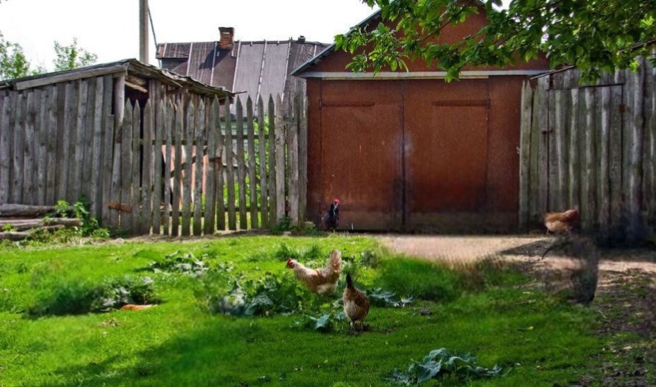 Обложка книги «Гипноз»