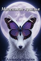 Обложка произведения Маленькие крылья