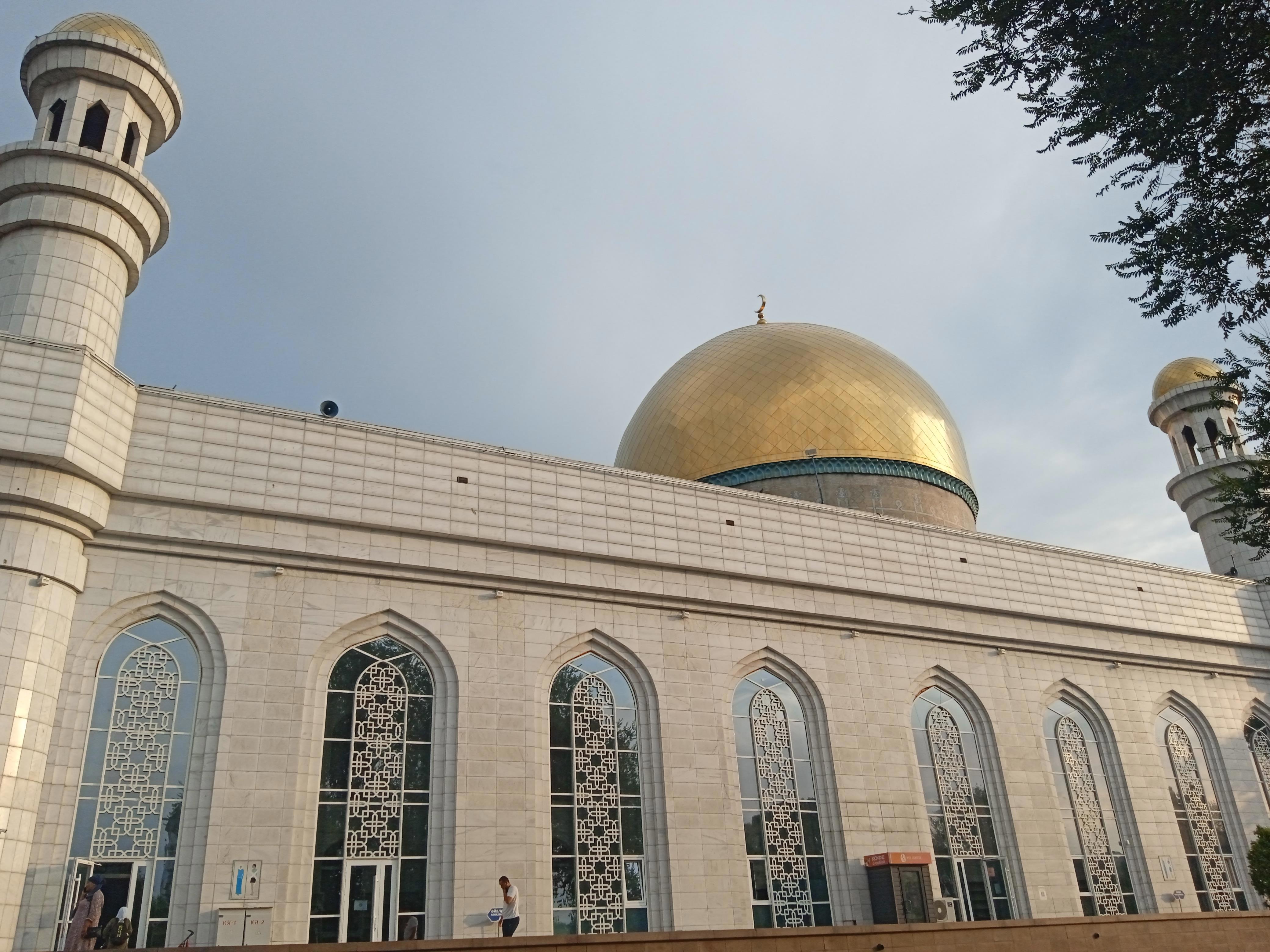 Алматы встретил меня шумом южной столицы, ароматом яблонь и прохладным дыханием гор - Виктор Агеев-Полторжицкий