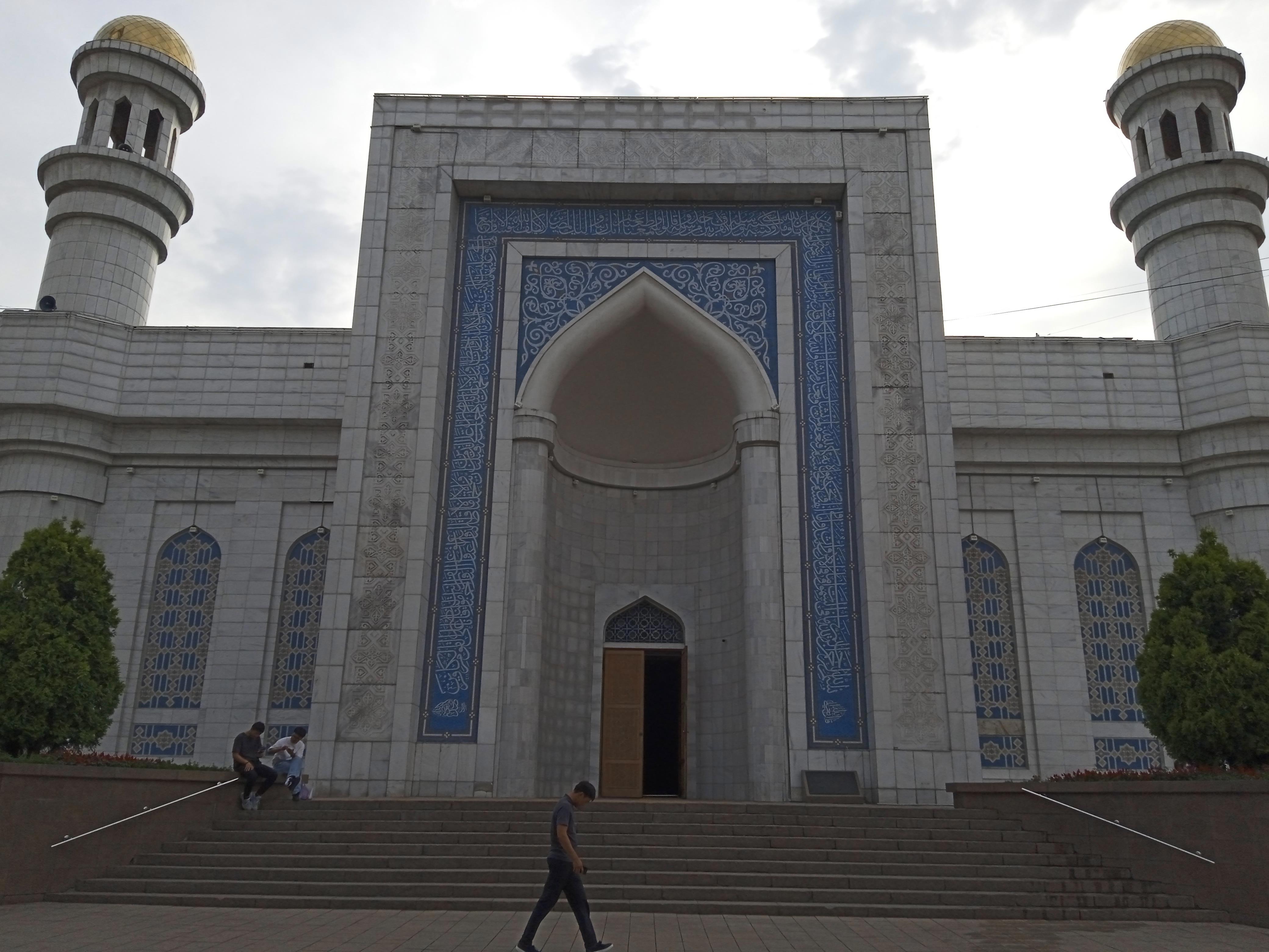 Алматы встретил меня шумом южной столицы, ароматом яблонь и прохладным дыханием гор - Виктор Агеев-Полторжицкий