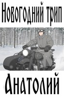 Обложка произведения Новогодний трип