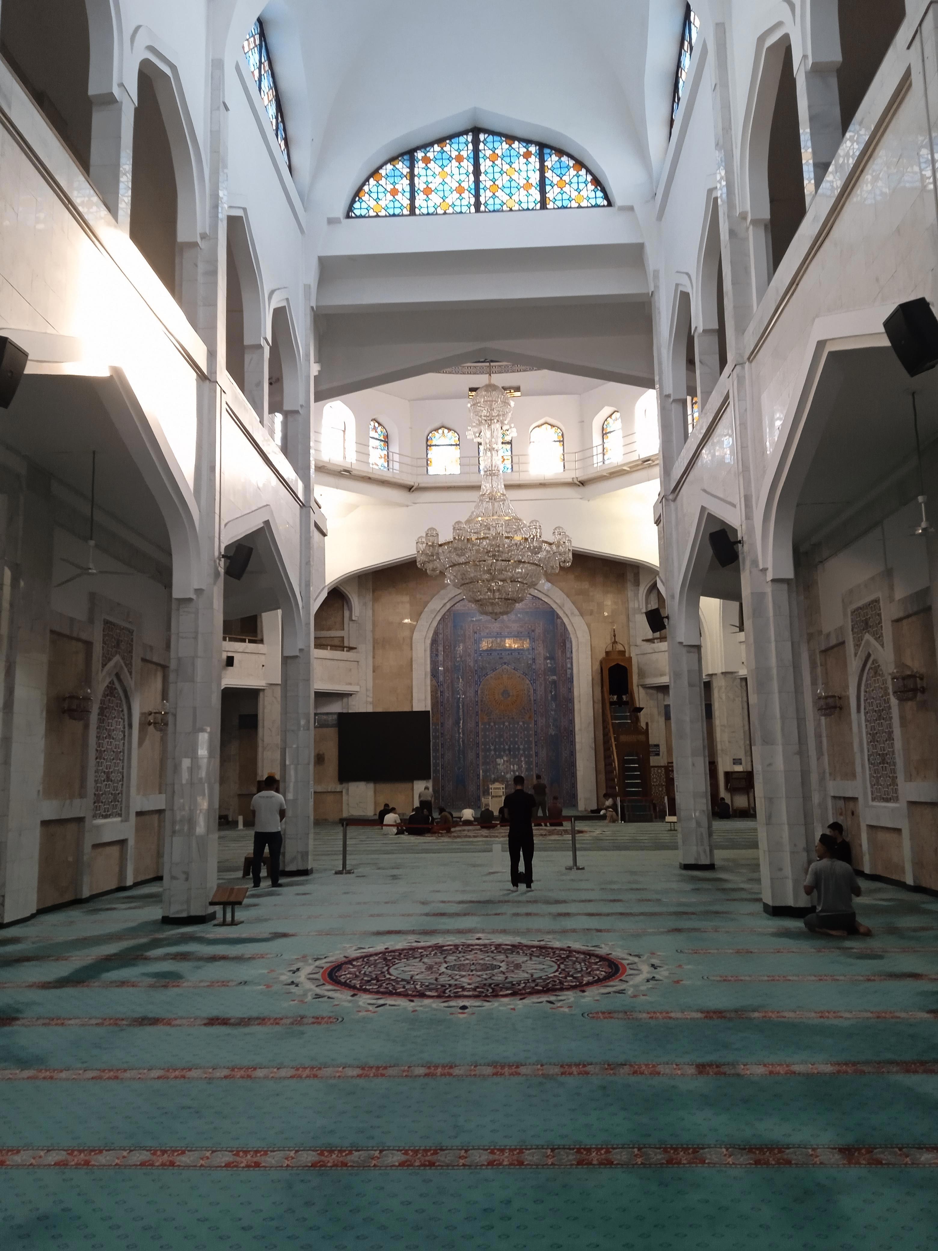 Алматы встретил меня шумом южной столицы, ароматом яблонь и прохладным дыханием гор - Виктор Агеев-Полторжицкий