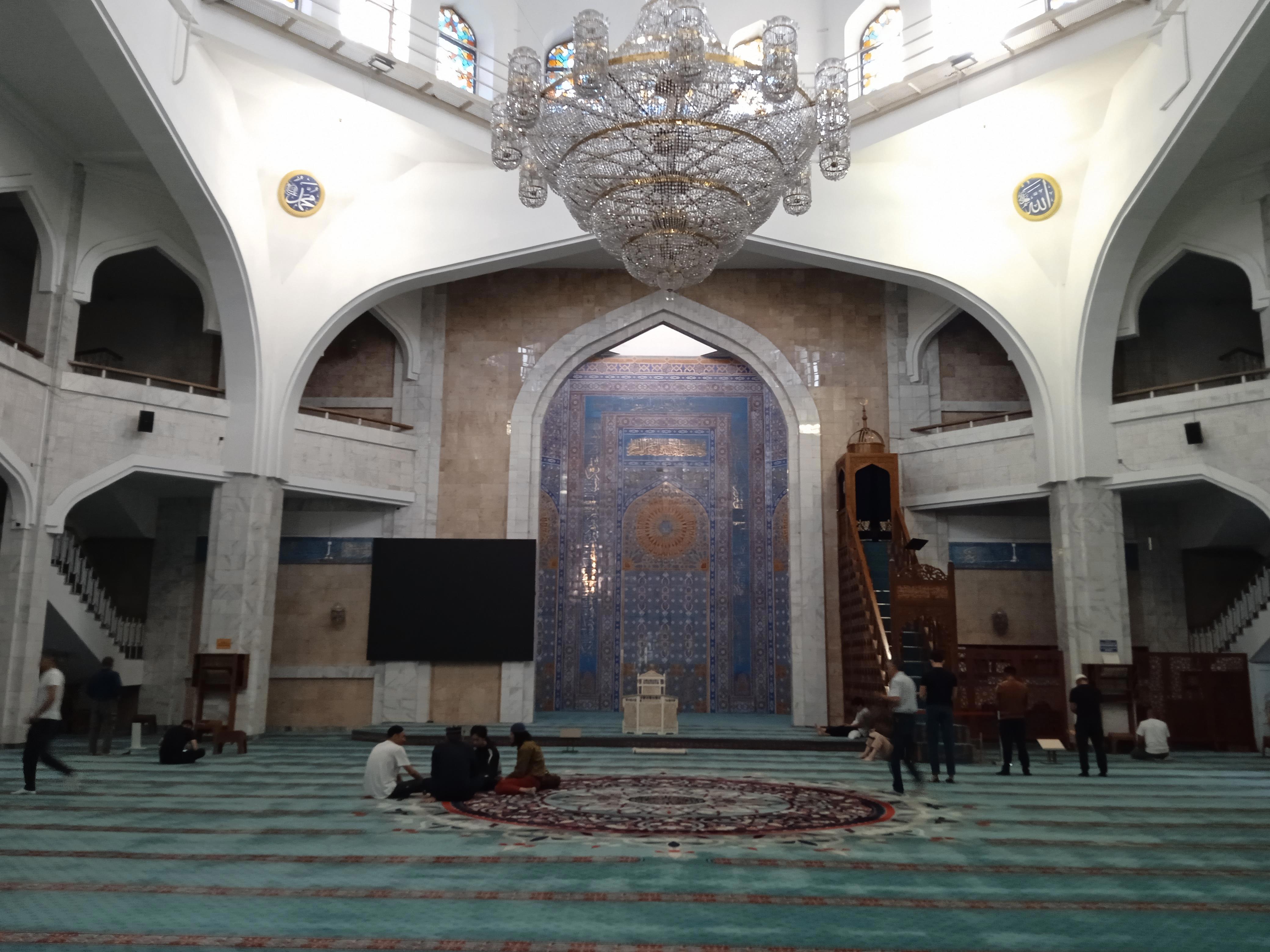 Алматы встретил меня шумом южной столицы, ароматом яблонь и прохладным дыханием гор - Виктор Агеев-Полторжицкий