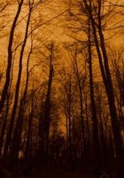 Обложка произведения Париж