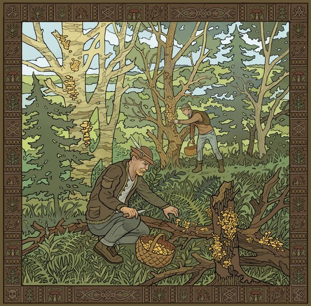 Иллюстрация