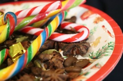 Ориби Каммпирр -...