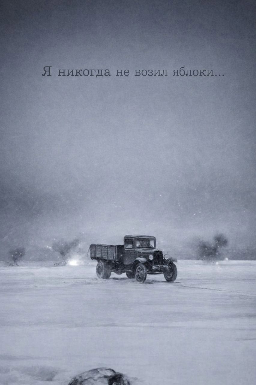 Обложка книги «Я никогда не возил яблоки»