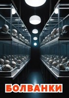 Обложка произведения Болванки