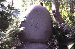 Пасхалка в тексте,...