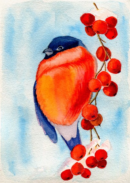 Иллюстрация