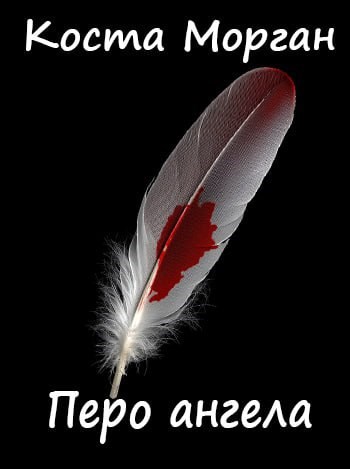 Обложка книги «Перо ангела»