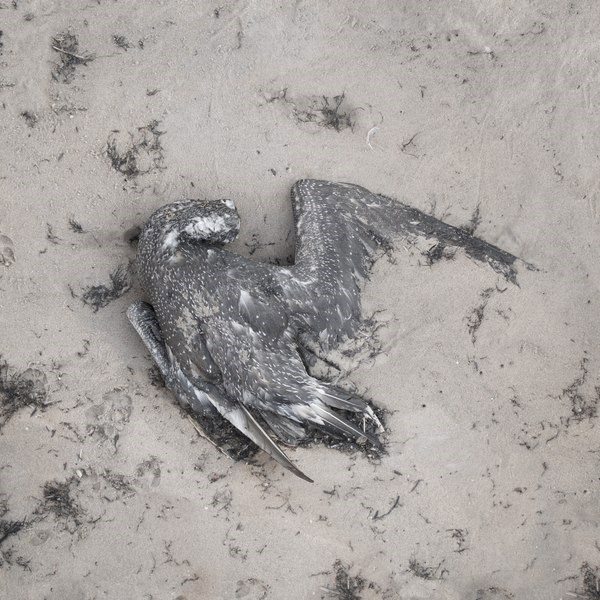 Обложка произведения Стишки 2025