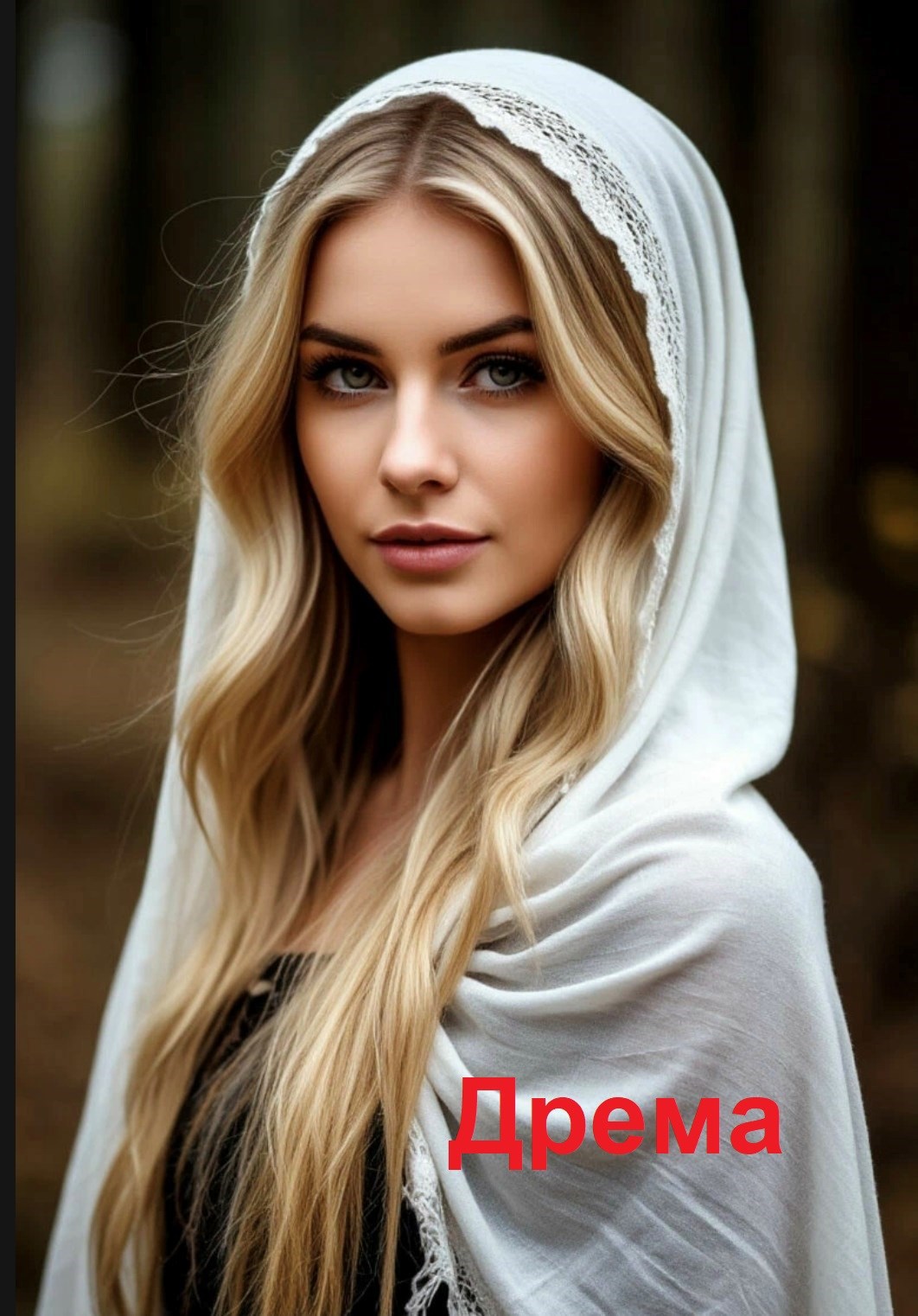 Обложка книги «Дрема»